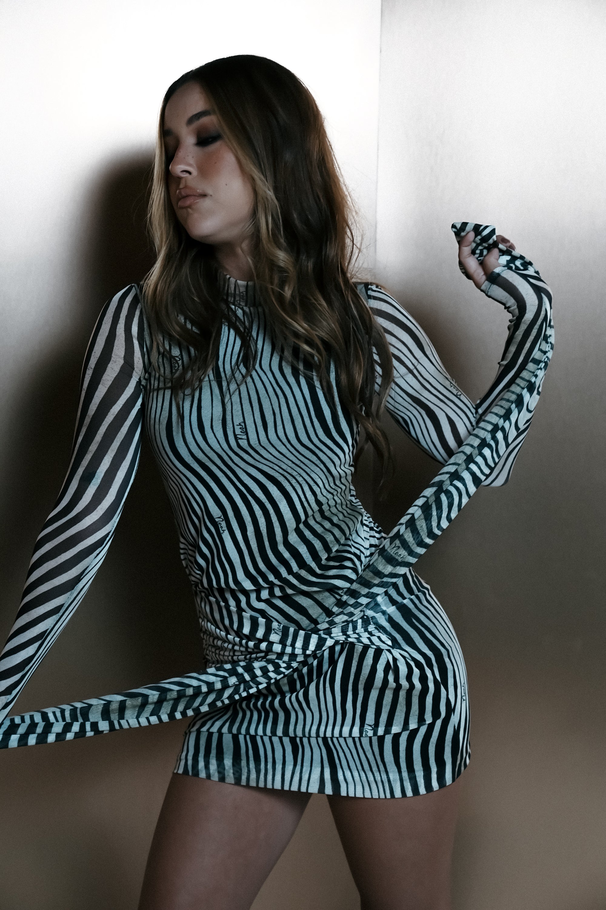 Vestido Tule Manga Longa  Zebra